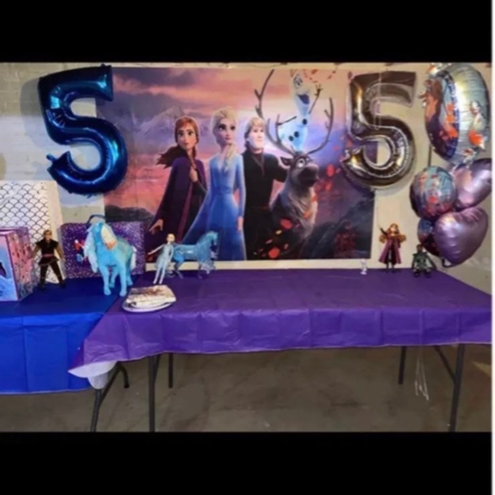 Frozen 2 vinyl backdrop